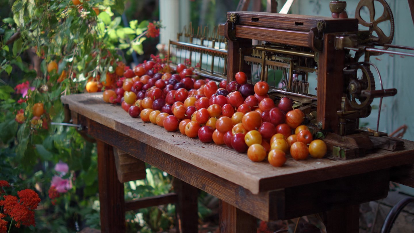 Harvest Like a Pro: Build Your Own DIY Fruit Harvester!