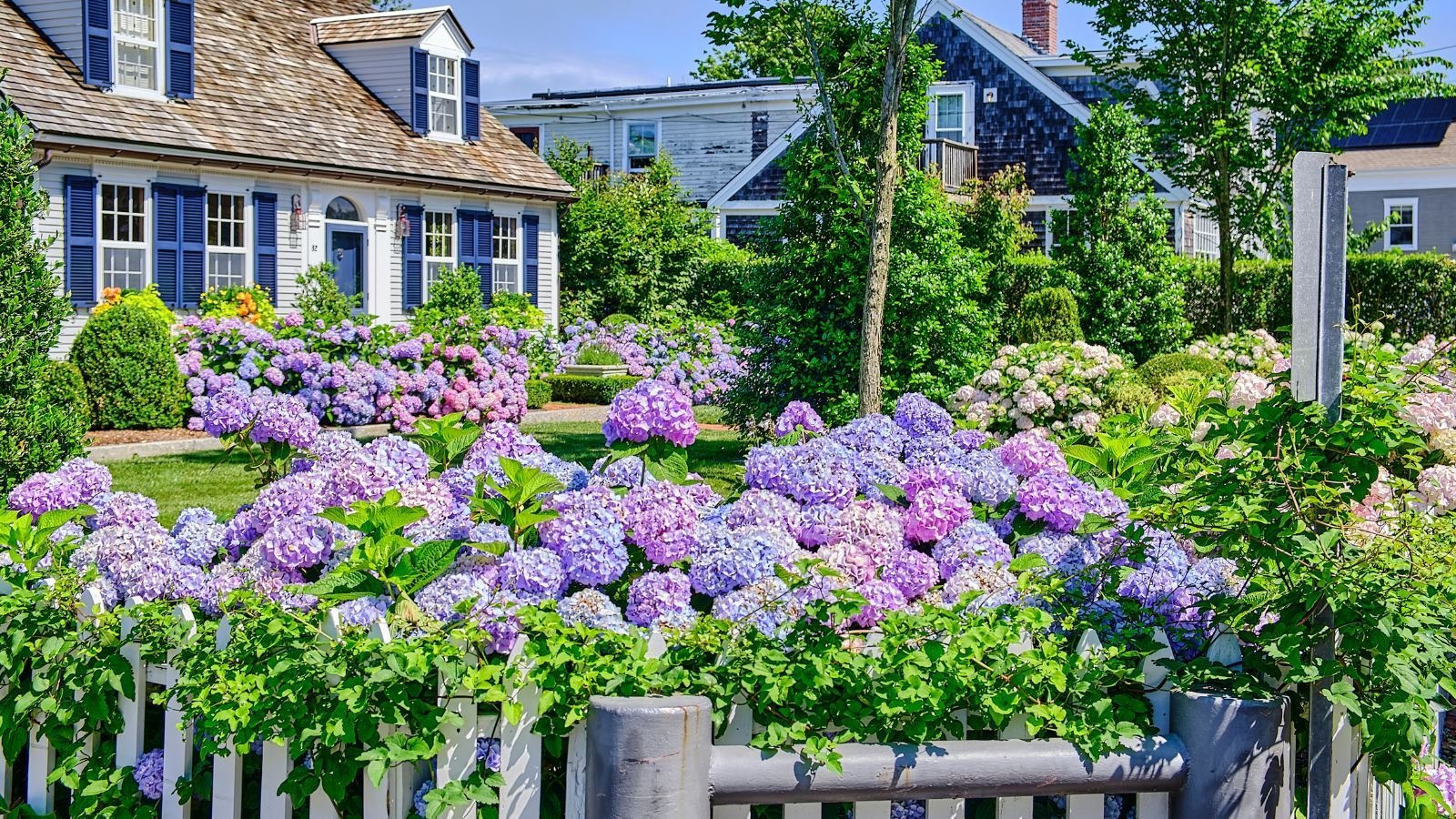 2026 gardening trends to try now