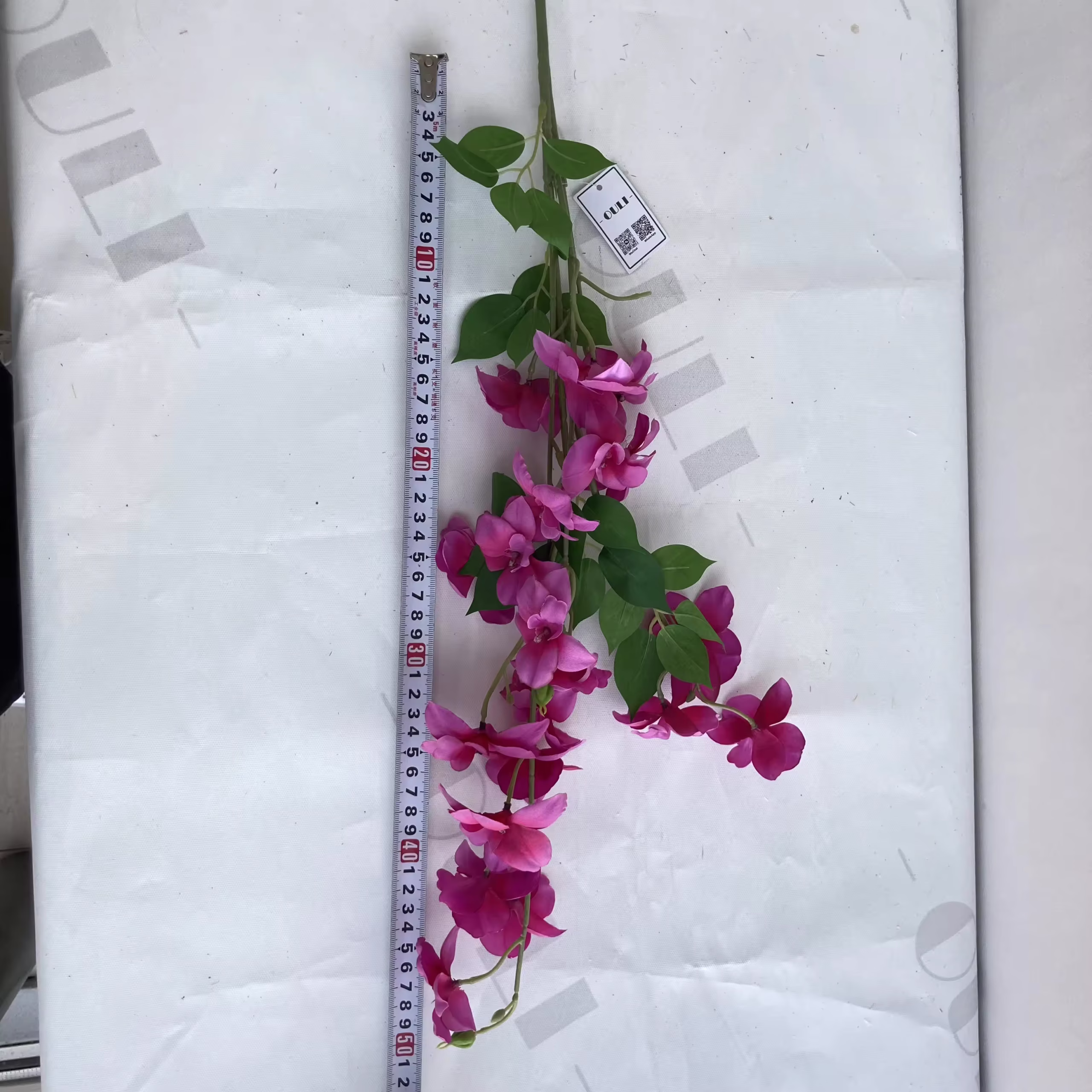 How to Choose the Best Orchids Fresh for Your Home or Garden