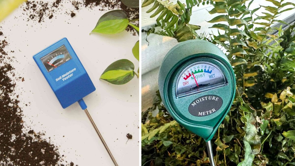 Water Smarter, Not Harder: Why Using a Moisture Meter Improves Plant Watering