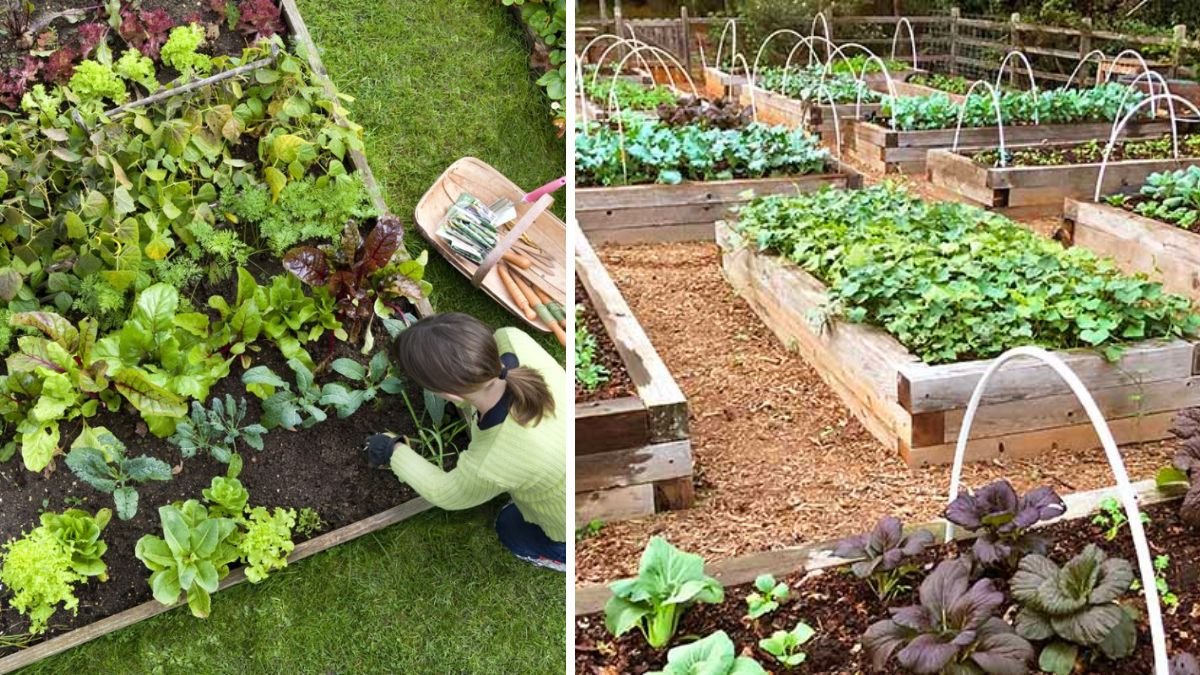 13 Gardening Myths and Home Remedies You Should Stop Believing