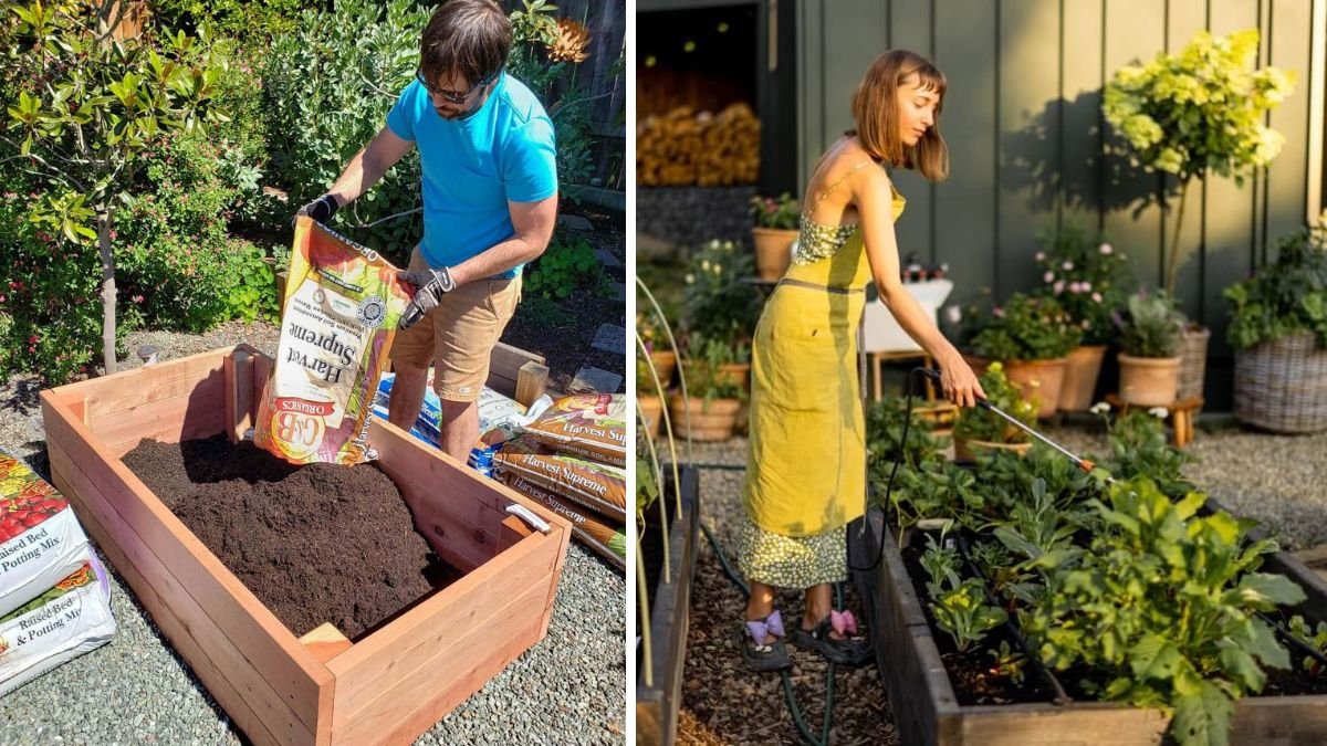 How to Fill a Raised Bed While Reducing Soil Costs: Budget-Friendly Gardening Tips