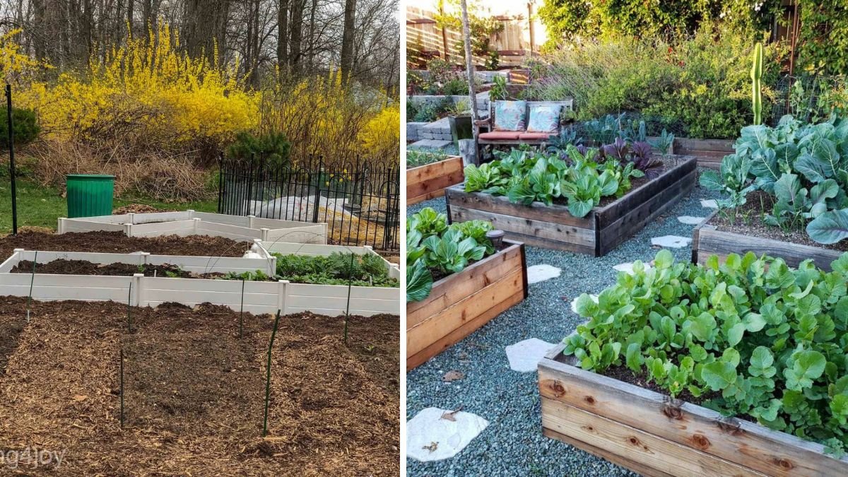 Raised Beds vs. In‑Ground Garden Beds: Which Is Overall Better?