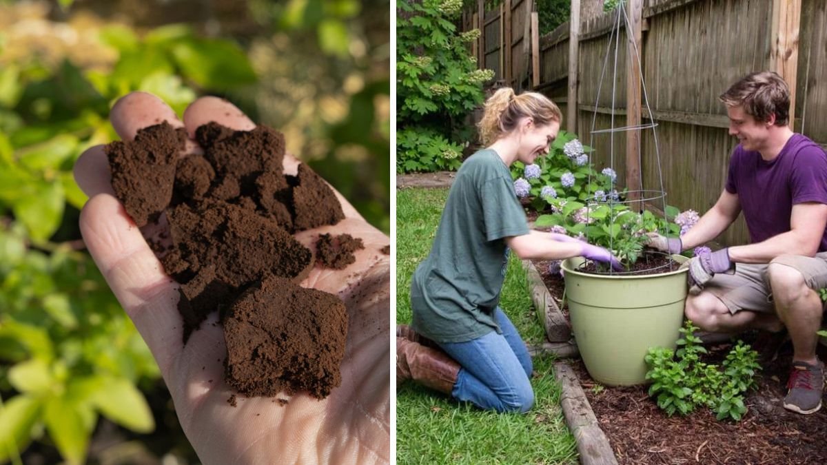 10 “Miracle” Garden Hacks That Actually Do More Harm Than Good