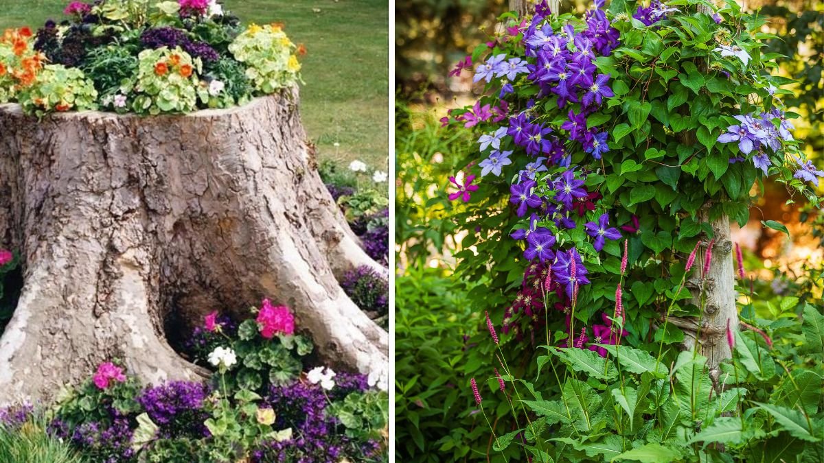 Hide the Eyesore of an Old Tree Stump With This Raised Garden Bed Idea