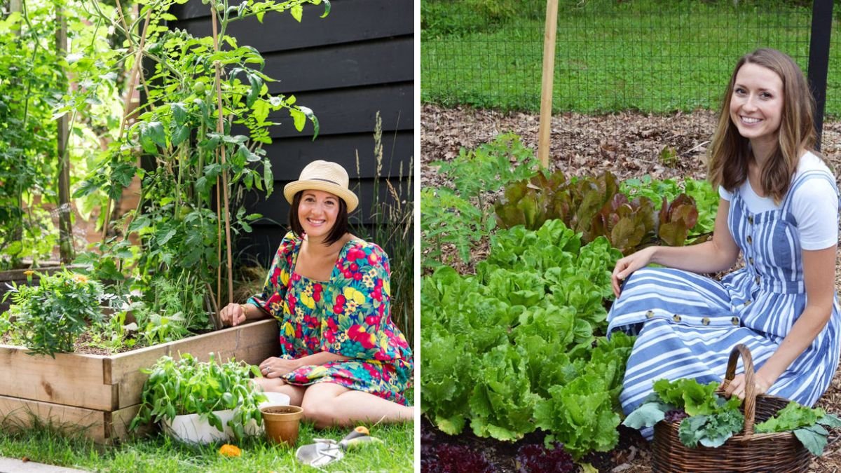 How I Save Hundreds Of Dollars Every Year With Home Grown Food: A Complete Guide to Big Savings