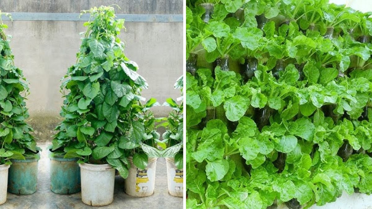 Planting a Vegetable Tower for Summer — Not Only Delicious, But Smart & Space-Saving