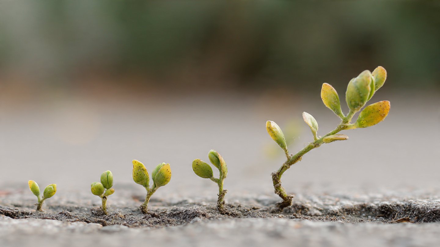Nature’s Lesson on Patience and Plant Growth Insights